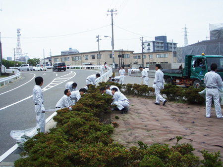 除草作業の様子