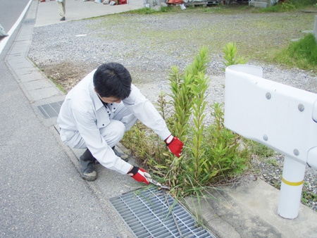 除草作業の様子