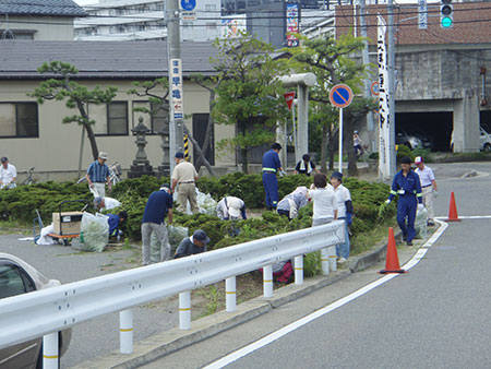 除草作業の様子