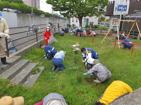 除草作業の様子 （前田公園）